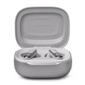 JBL Live Flex 3 Oordopjes Zilver afbeelding 1