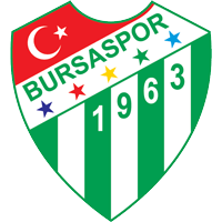 Logo of Bursaspor