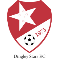 Dingley Stars club logo