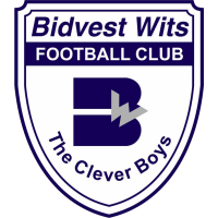 Bidvest Wits club logo
