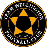 Team Wellington FC logo