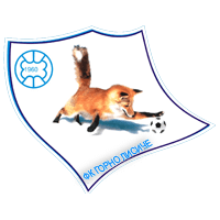 Gorno Lisiče club logo