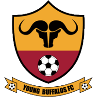 Y. Buffaloes club logo