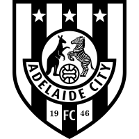 Adelaide City club logo