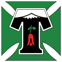 Temuco club logo