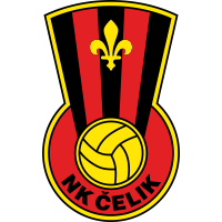 Čelik Zenica club logo
