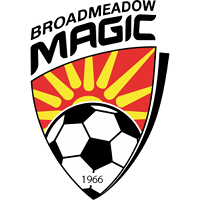 Broadmeadow club logo