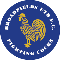 Broadfields club logo
