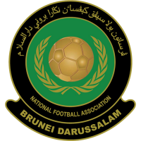 Brunei DS U18 club logo