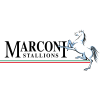 Marconi Stallions FC logo