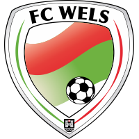 Wels club logo