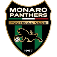 Monaro Panthers FC clublogo
