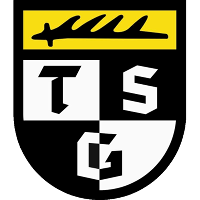 Logo of TSG Balingen