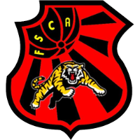 Flamengo SC club logo