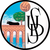 Salamanca CF club logo