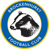 Brockenhurst club logo