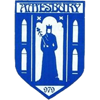 Amesbury Town club logo