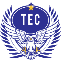 Taguatinga club logo