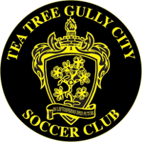 Tea Tree Gully City SC clublogo