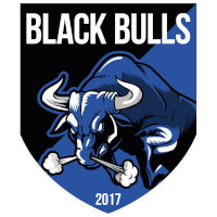 Black Bulls club logo