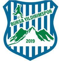 Bursa Yıldırımspor logo