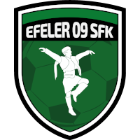 Logo of Efeler 09 SFK