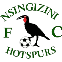 Logo of Nsingizini Hotspurs FC