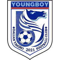 DL Yingbo club logo