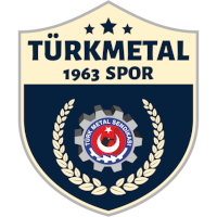 Logo of Türk Metal 1963 SK