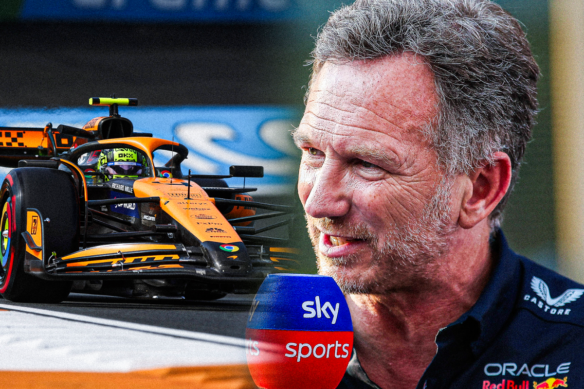 Horner kijkt op van voorvleugel McLaren: "Heel anders dan de rest van de grid"