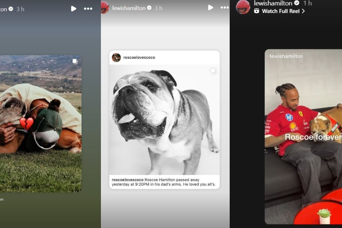 Lewis Hamilton posts a tribute of Instagram clips to his late dog Roscoe