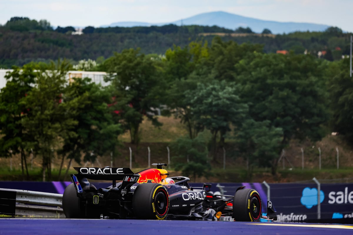 verstappen, hungary 