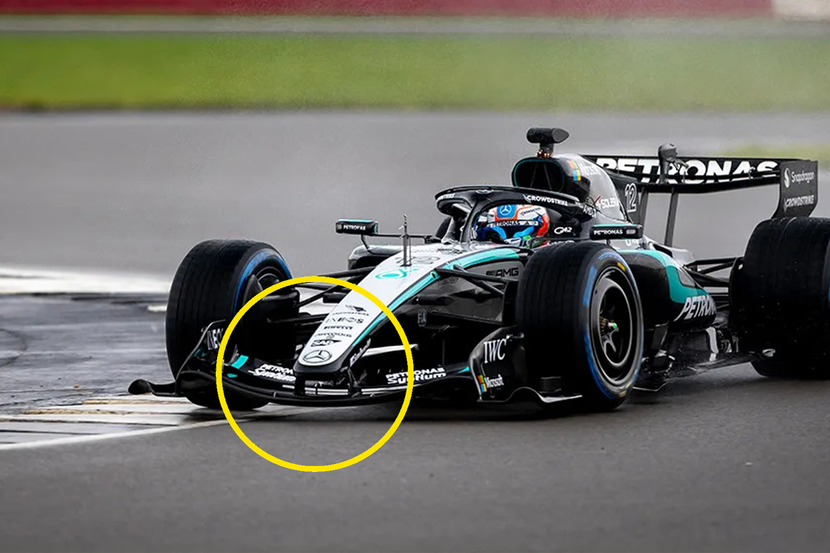 Mercedes, W17, front wing, socials