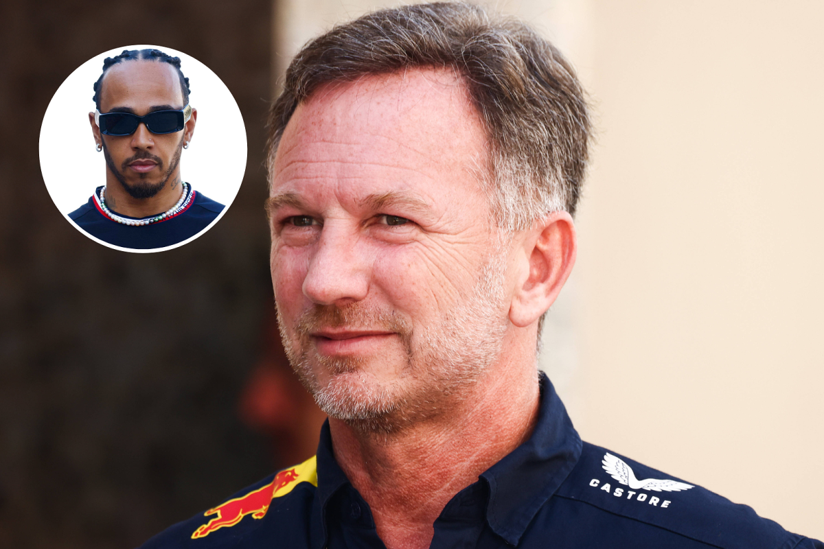 Christian Horner verdict: Lewis Hamilton breaks silence on 'really ...