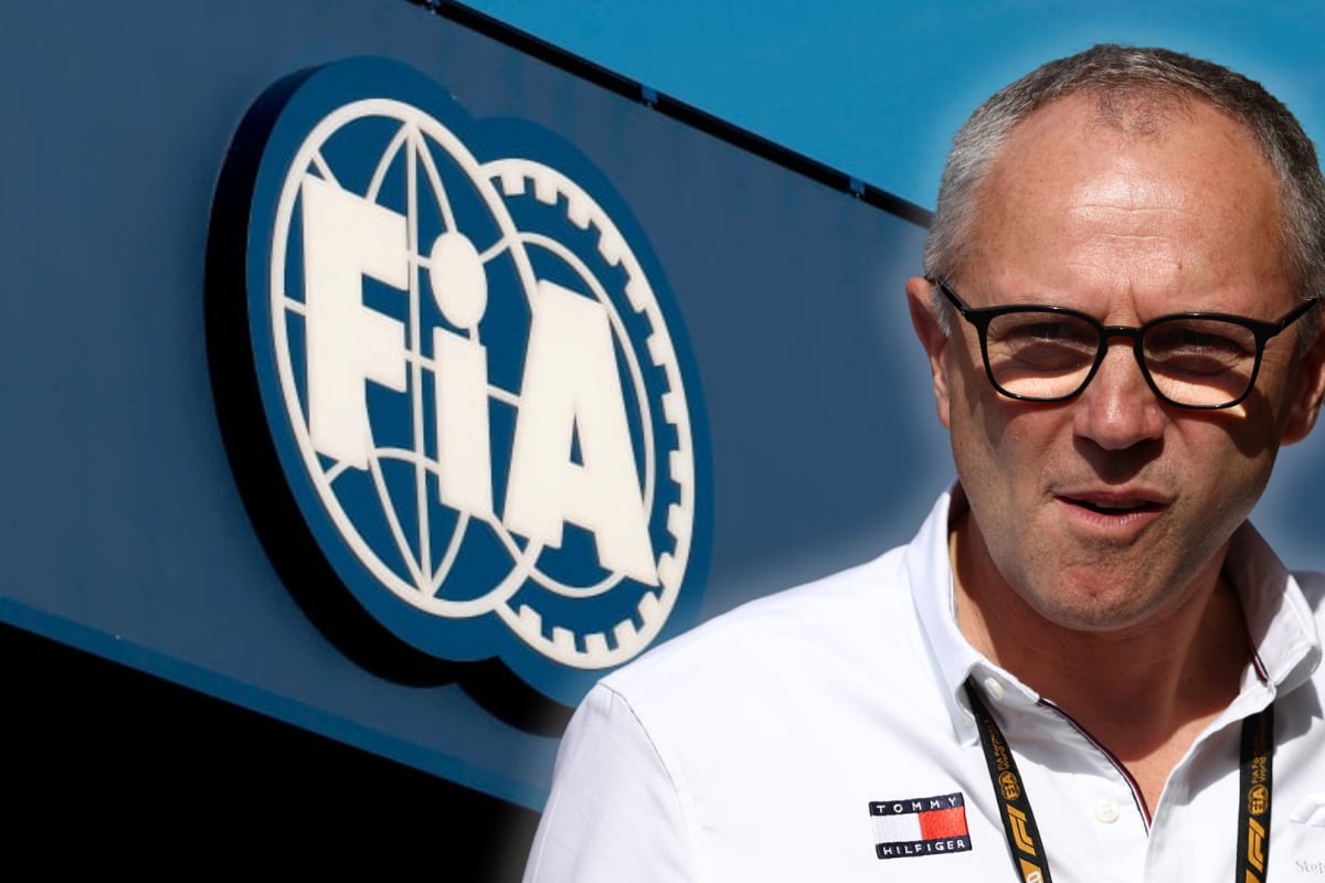 An edited image of the FIA logo and F1 CEO Stefano Domenicali who looks concerned