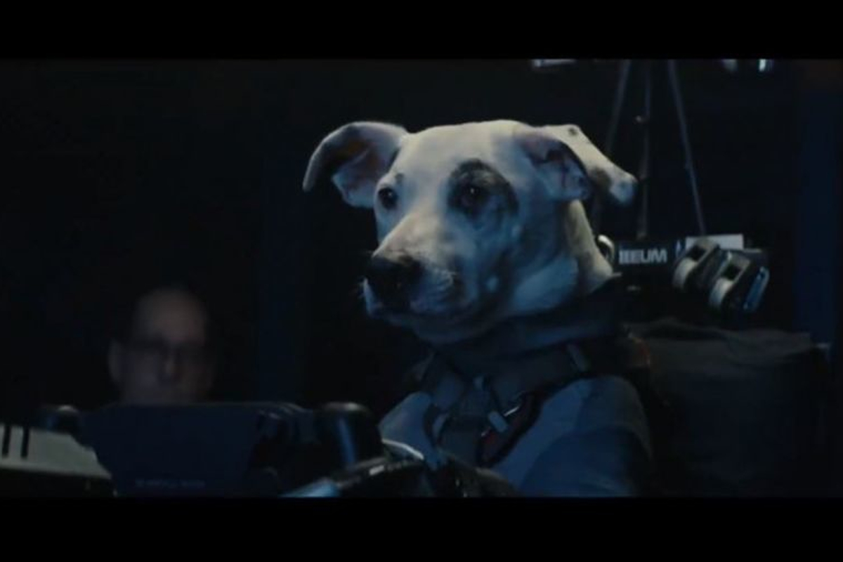 Formula 1-themed Chemical Brothers video featuring driving dog is bizarre, bonkers and brilliant