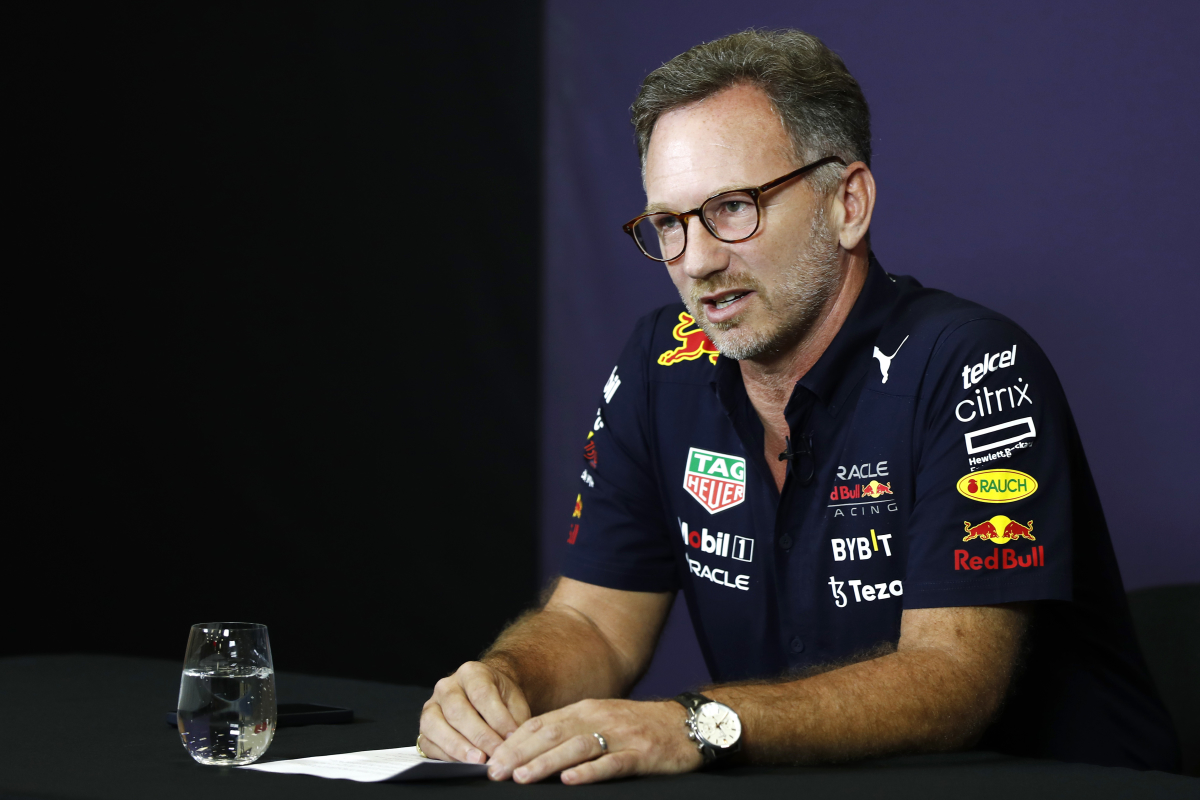 Horner punishment claim disputed