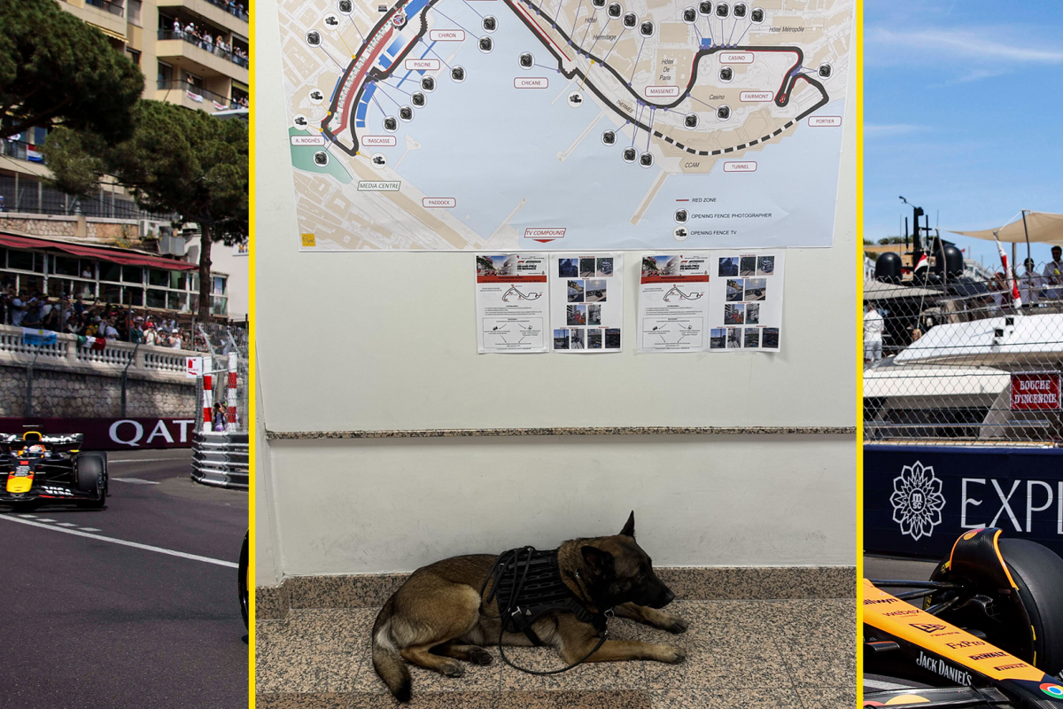 Explosievenhond, Monaco, socials