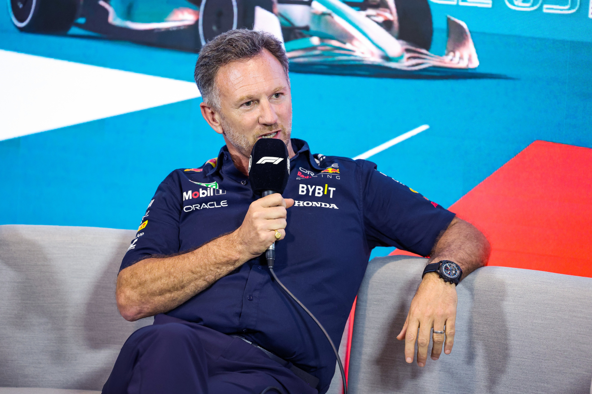 Horner reveals how teams can make key CHANGES to Drive To Survive