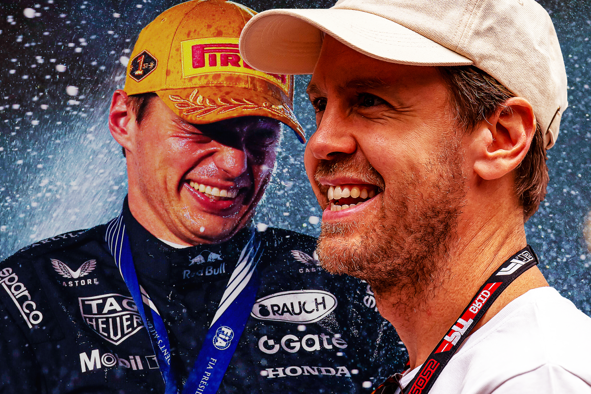 Vettel and Verstappen