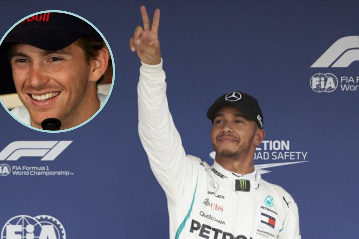Hamilton career praised as 'INSANE' by former Red Bull driver