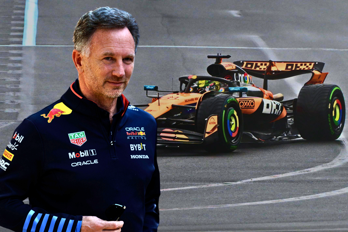 Horner ziet iets raars bij McLaren: "Meestal gaat het een ten koste van het ander"