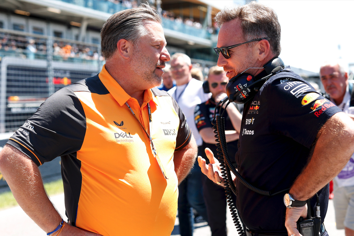 McLaren chief Brown makes SURPRISE Horner revelation