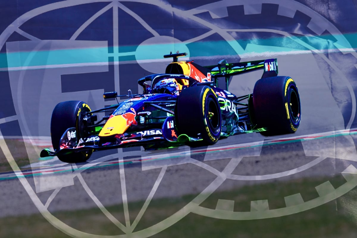 Verstappen and the FIA