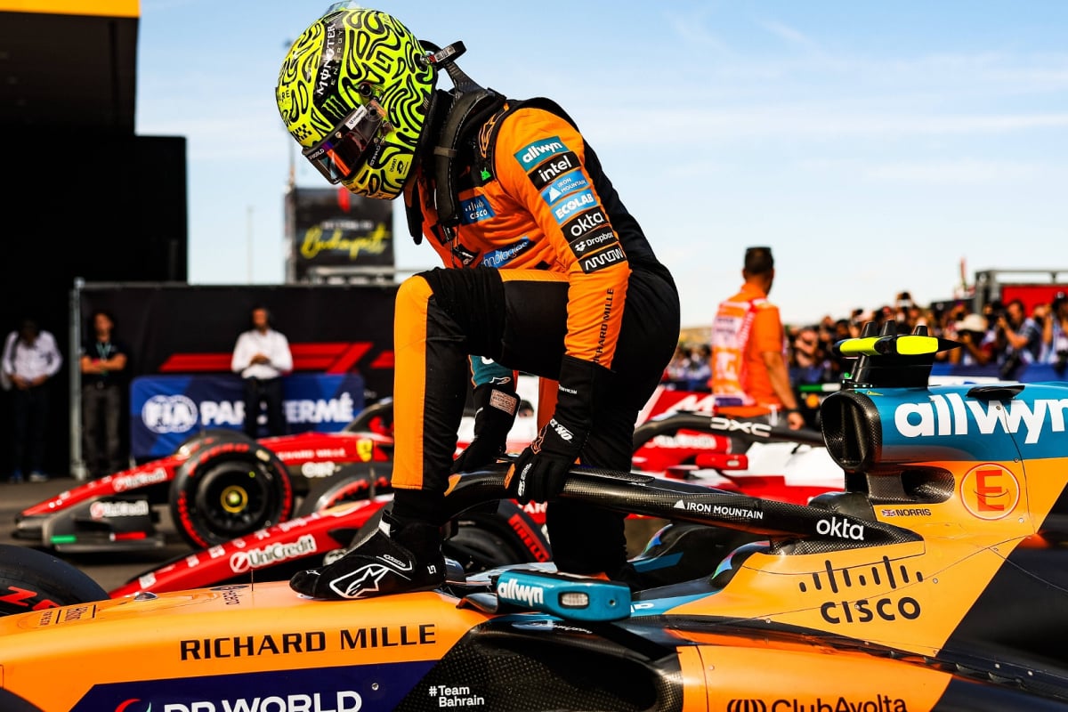 Norris kneeling on top of his McLaren F1 car after claiming Hungarian GP pole