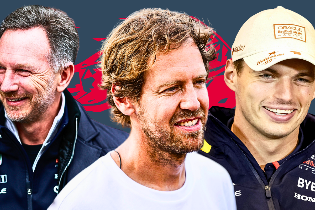 christian horner, sebastian vettel, max verstappen, red bull, graphic
