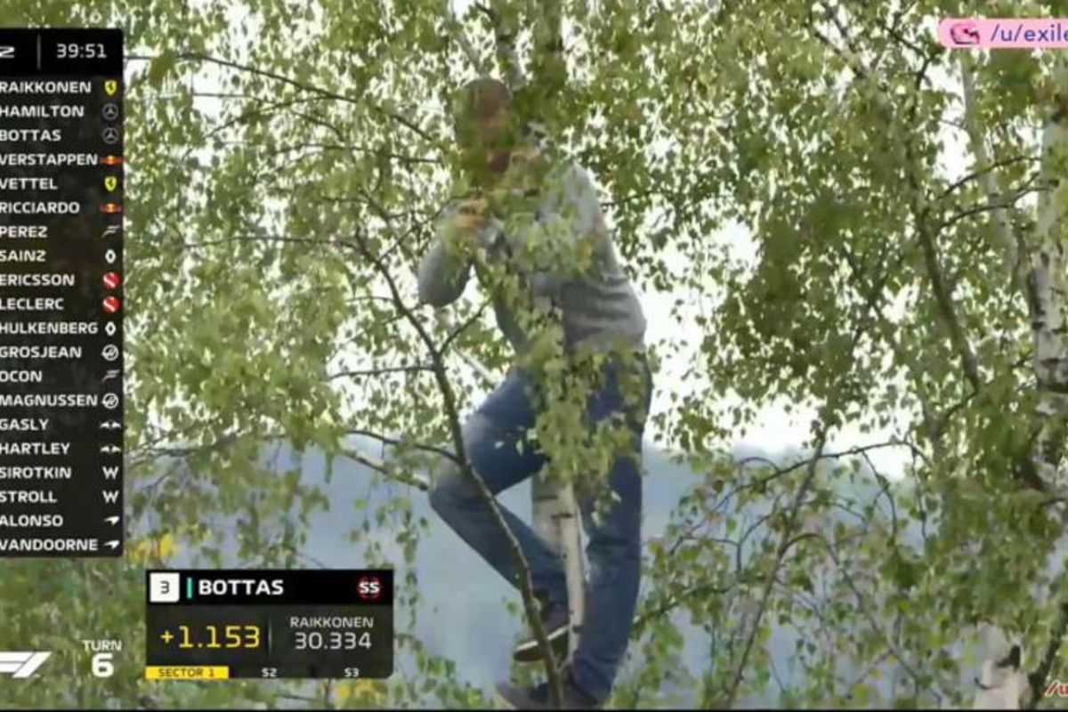 WTF?!: Fan climbs a TREE to watch Belgium FP2