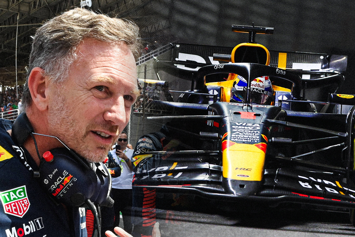 Former Red Bull director issues 'DUMB' defence in Horner discussion