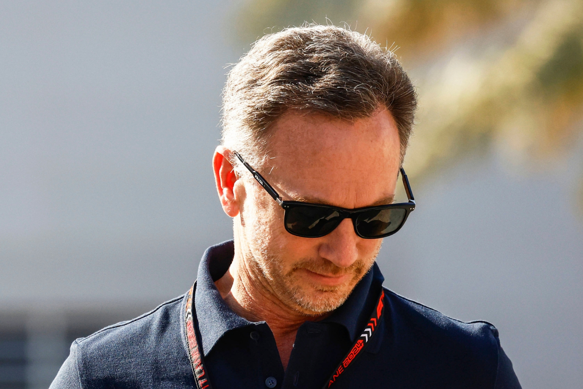 Horner F1 rival discusses 'unwanted' Red Bull investigation