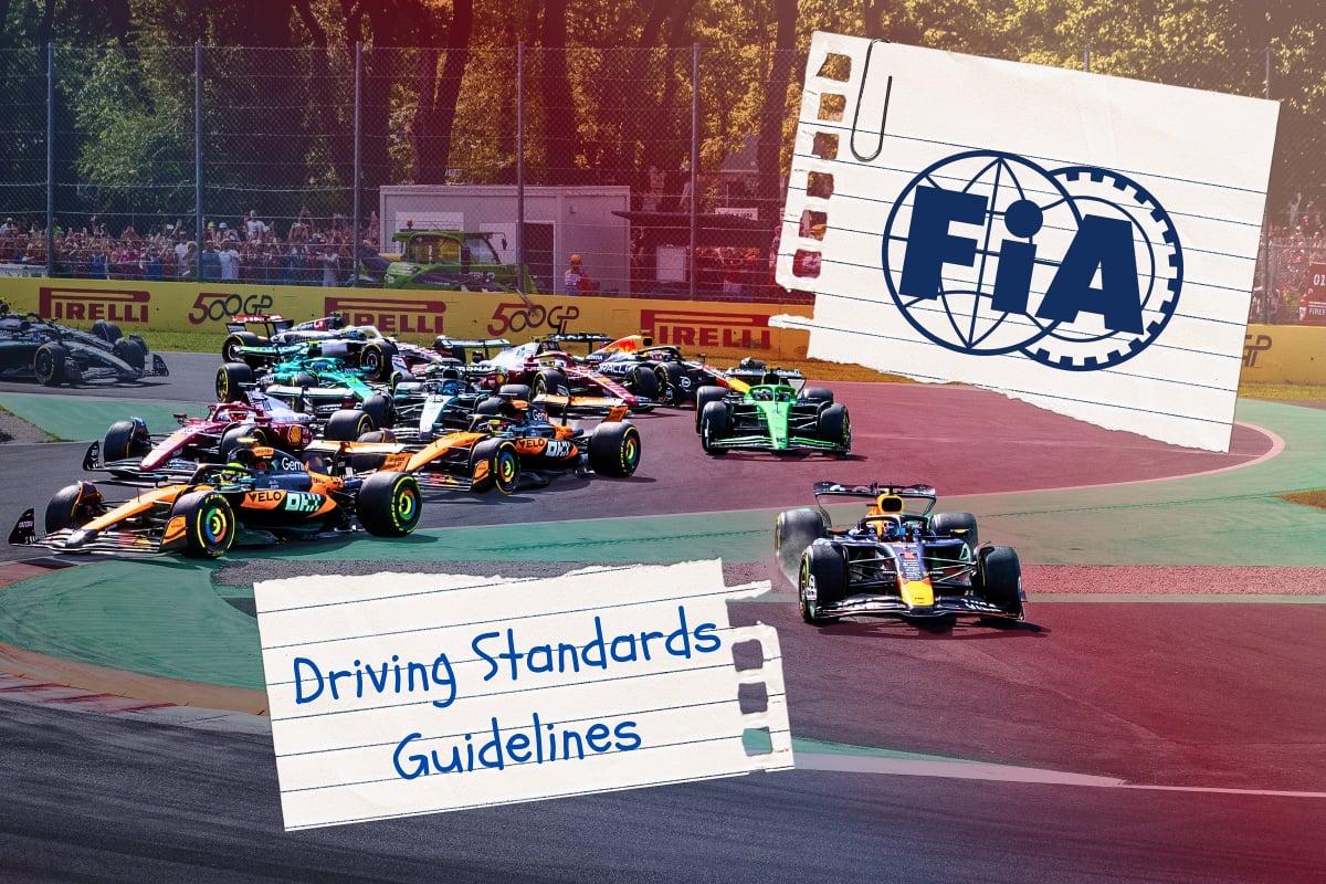 Driving Standards Guidelines of FIA